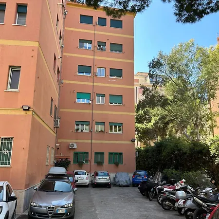 Siso Home-2